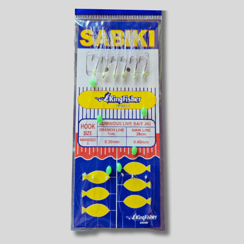 SABIKI JIG