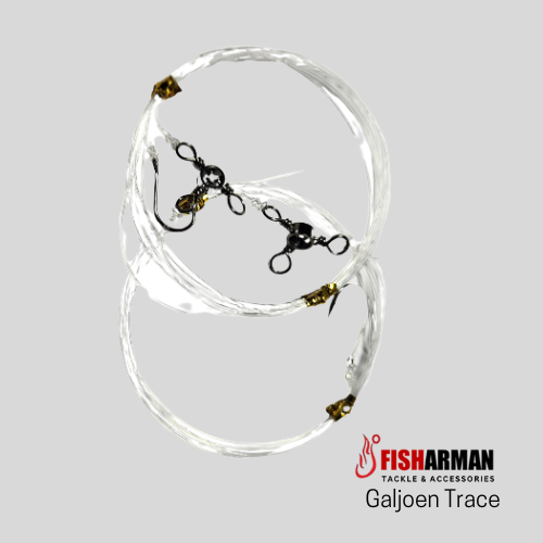 Galjoen Fishing Trace from Fisharman Fishing Tackle & Accessories