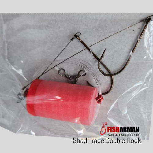 Shad Fishing Trace