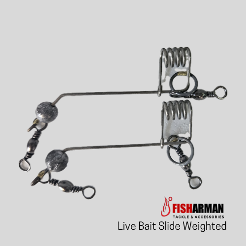 Fishing Slide for Bait